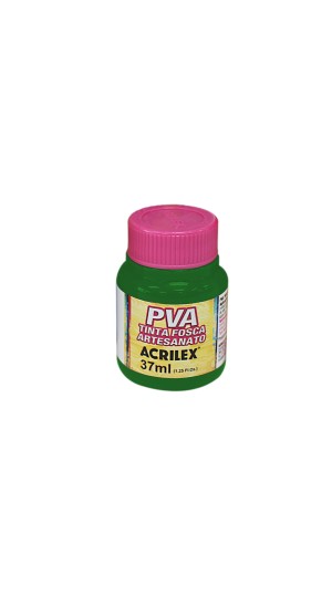 TINTA PVA FOSCA ARTESANATO VERDE MUSGO 513